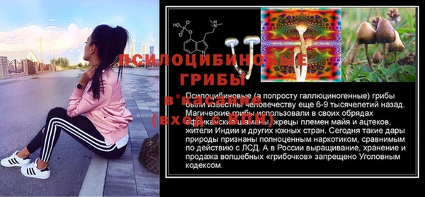 сатива Арсеньев