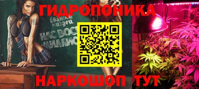 бошки Тара
