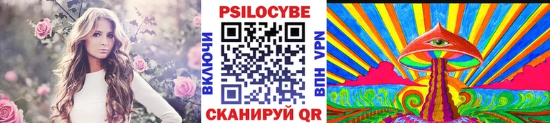 закладка  Петропавловск-Камчатский  MEGA зеркало  Галлюциногенные грибы Psilocybe 