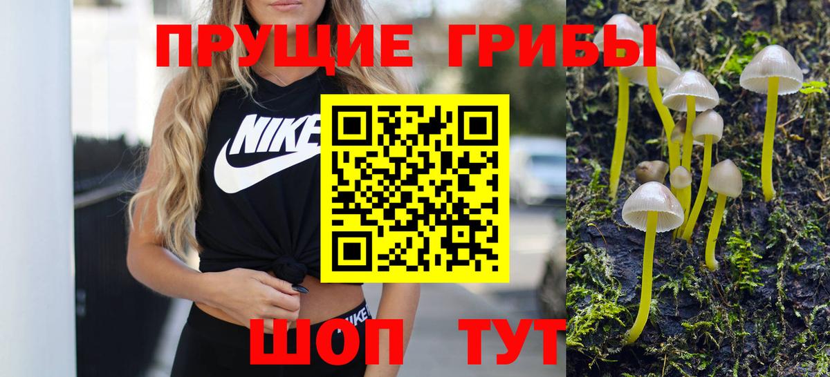 Галлюциногенные грибы Psilocybe  Вход с VPN  Петропавловск-Камчатский 