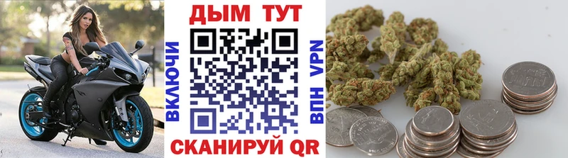 Шишки марихуана семена Петропавловск-Камчатский